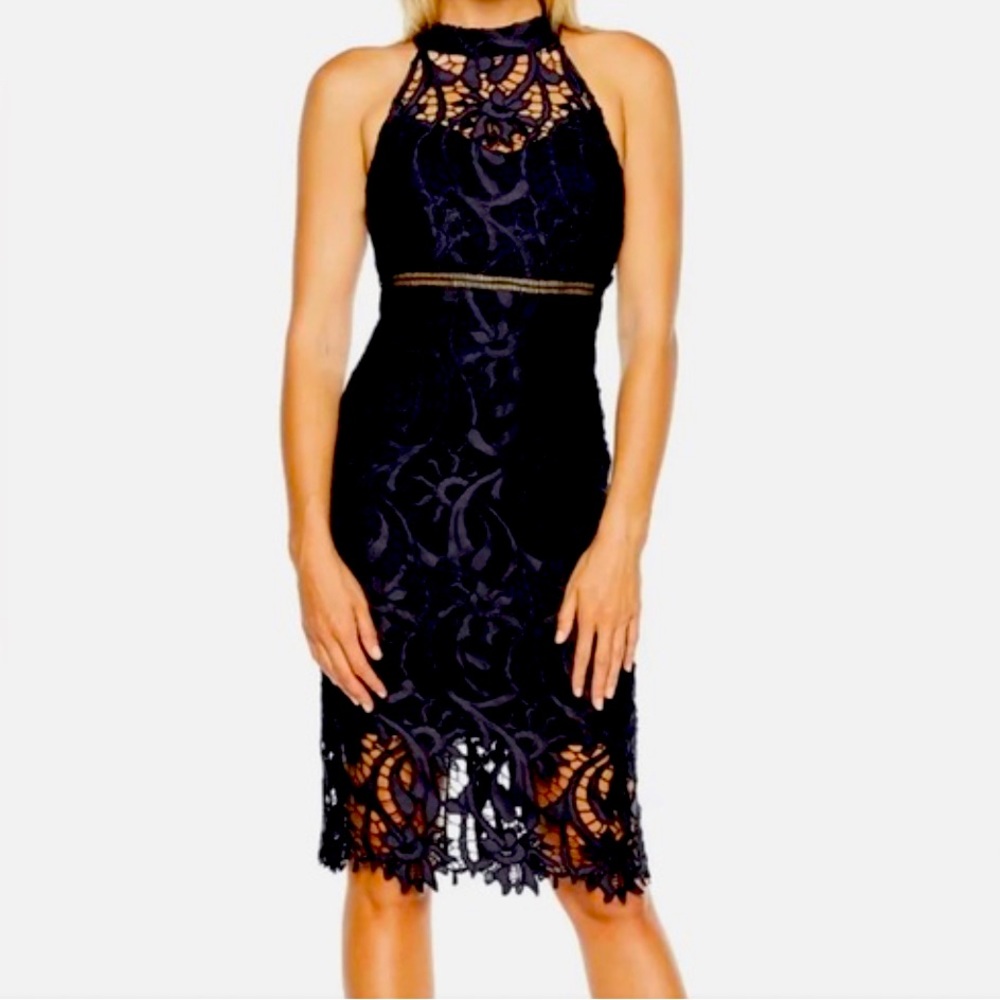 Bardot Lace Blue Dress